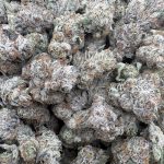 Parisian Kush [Exotic]
