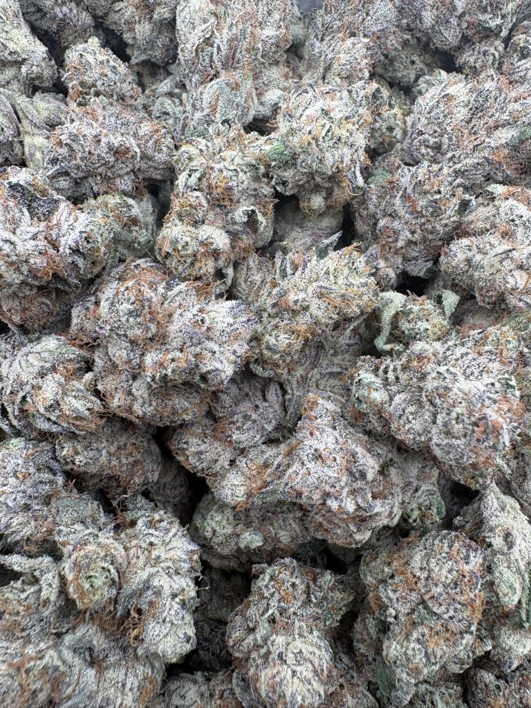Parisian Kush [Exotic]